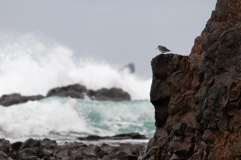 Наблюдательphoto preview