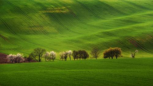 Moravian waves