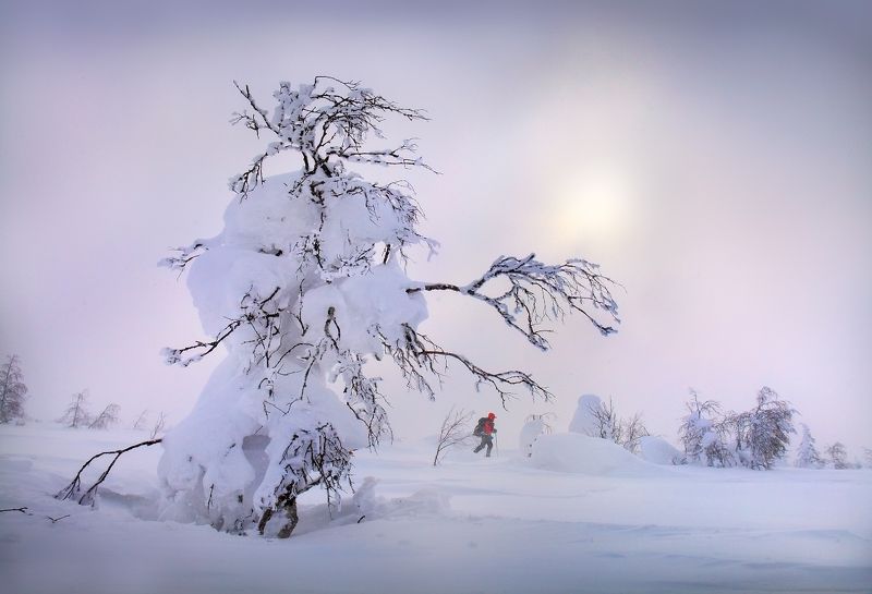 Куда ты денешься!..photo preview