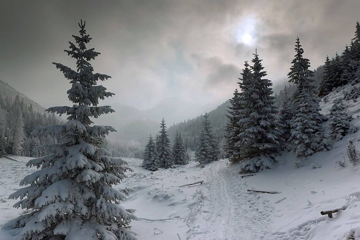 Прошлогодний снег.. Автор: Светлана , Светлана