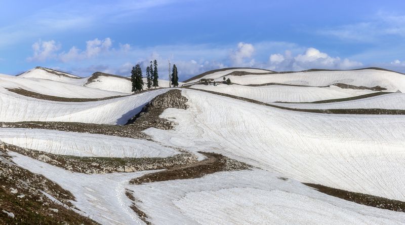 Витязи на распутьеphoto preview