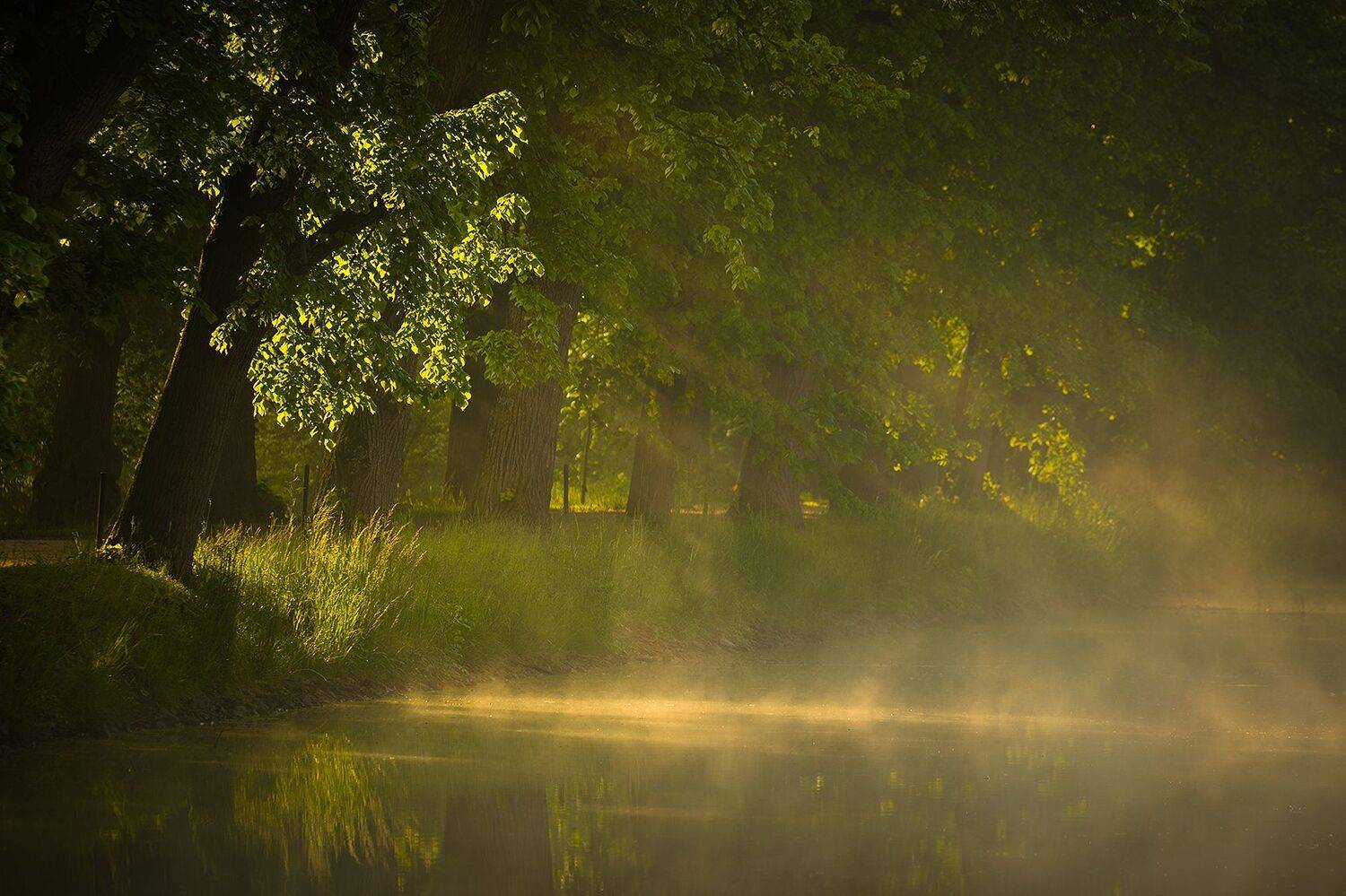 , Robert Adamec