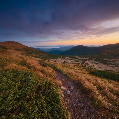 Carpathian morning ..