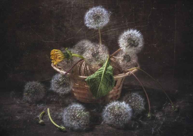 Последний...photo preview