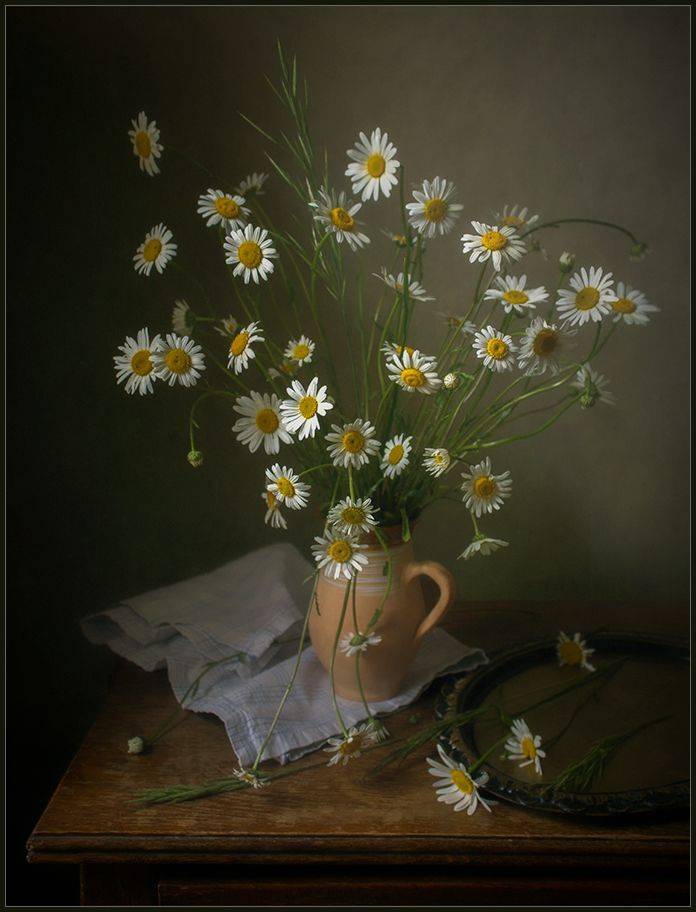 , Stein Georg