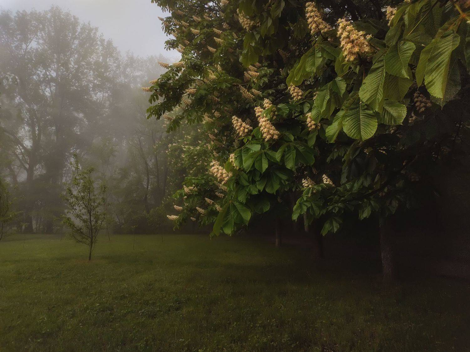 **. Автор: Александр , Александр