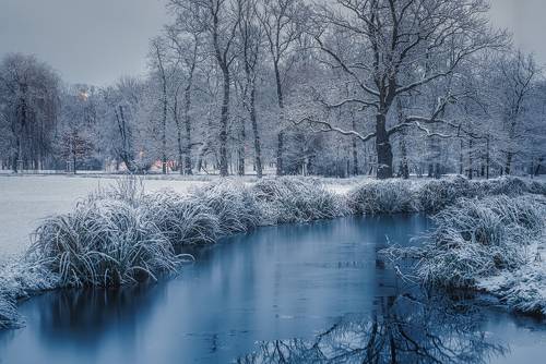 Зимние вечера в Праге.