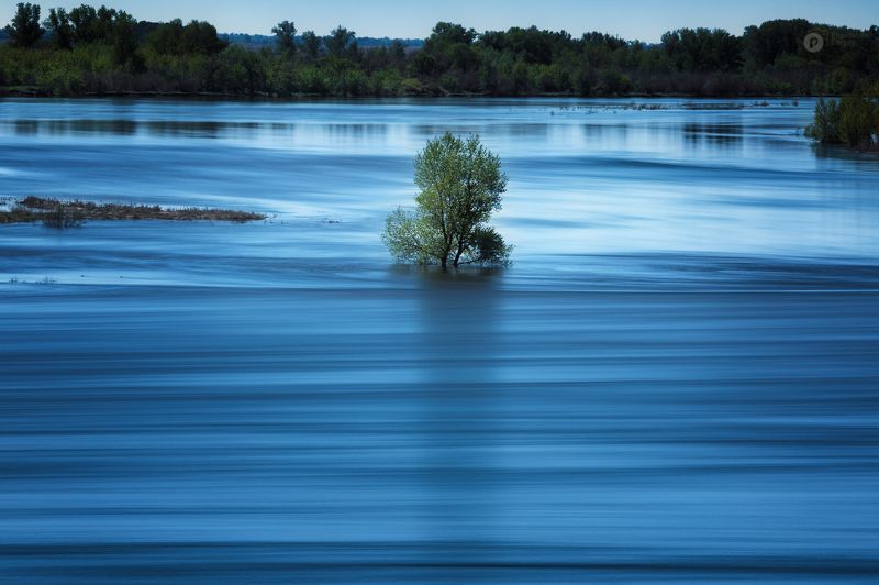 половодье Просторы родного краяphoto preview