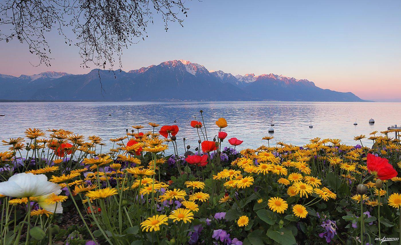 Утро.... Автор: Матвеев Николай swiss, Матвеев Николай