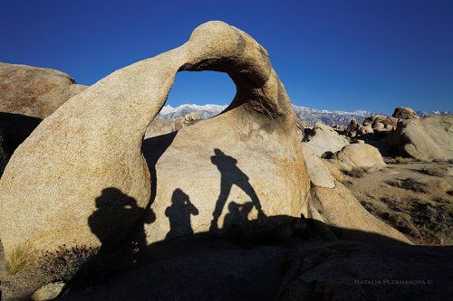 The Explorers