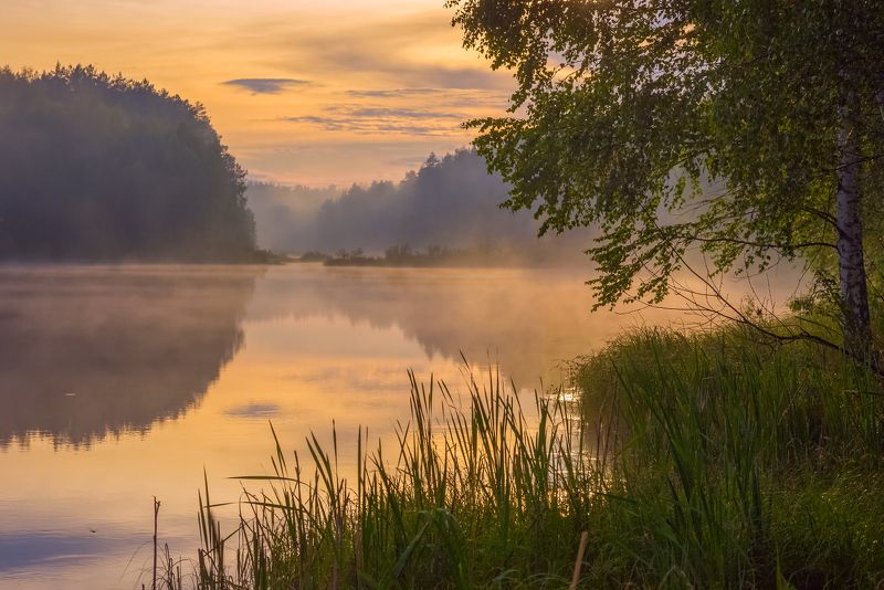 вечер июнь черная порза туман вода закат Вечерний туманphoto preview