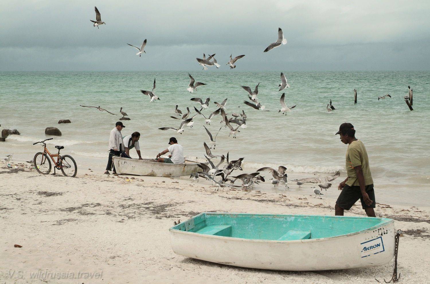 рыбаки, чайки, море, берег, пляж, лодка, причал, птица, велосипед, путешествие, приключение, шагнивнеизведанное, Владимир Столяров