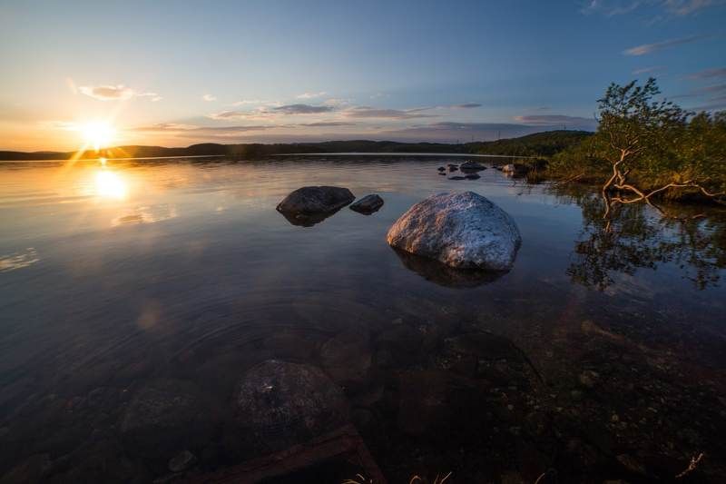 пейзаж, солнце, север, озеро, отражение, деревья, ночь, тепло Белые ночи)photo preview