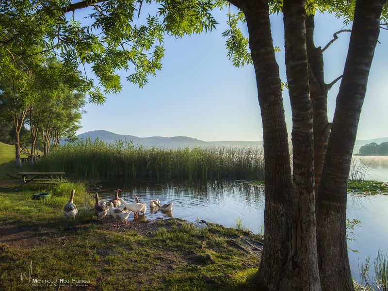 Poyrazlar Lakephoto preview