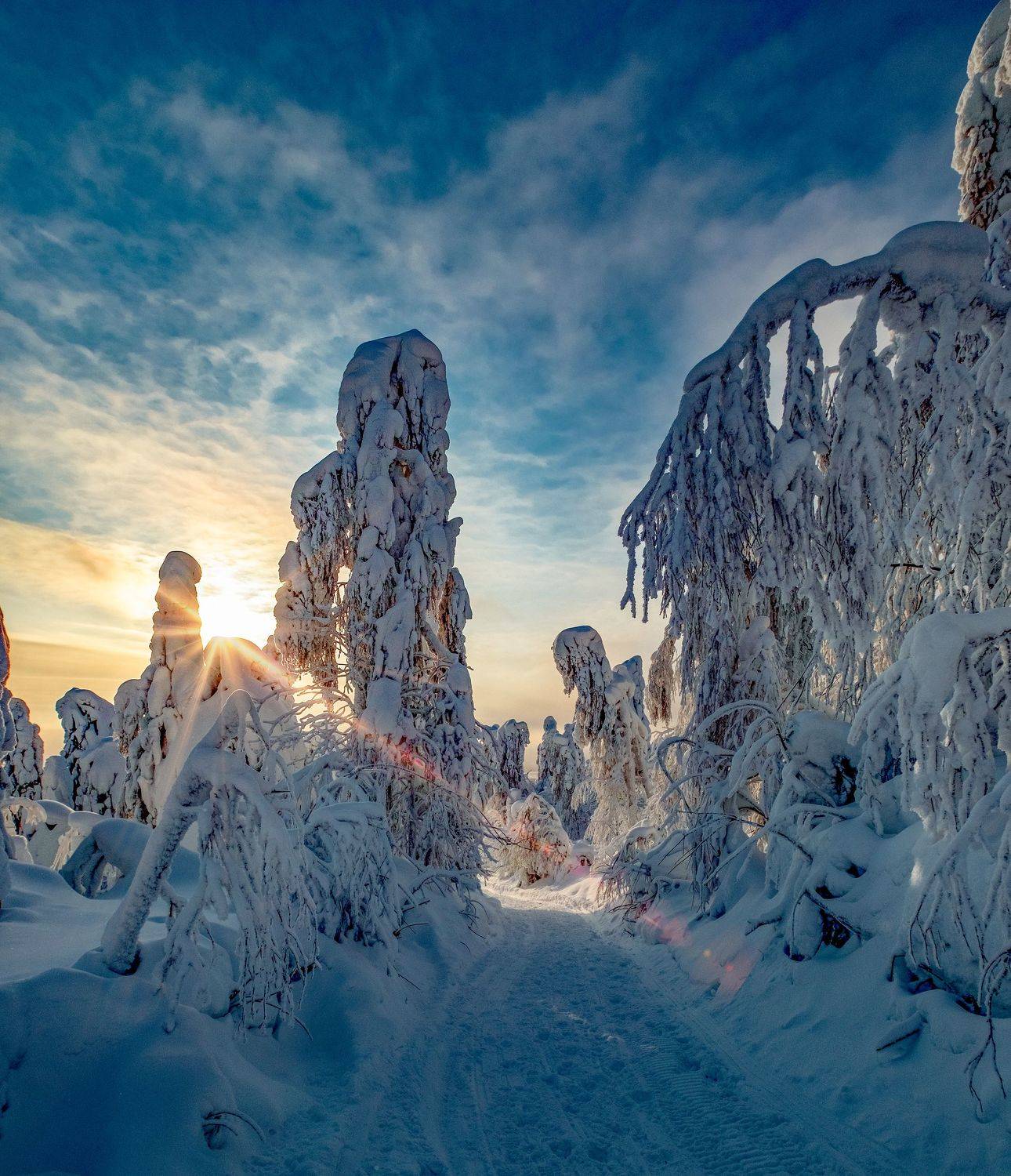 , Юрий Чернов