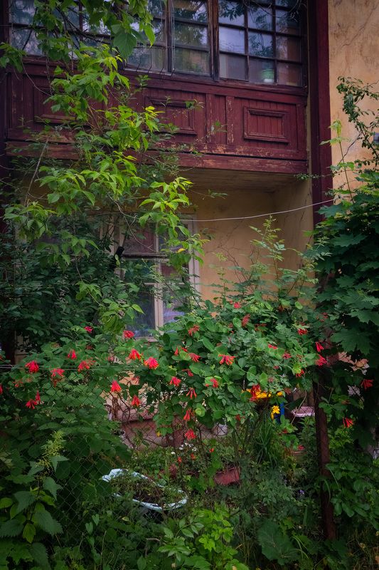 брусчатый поселок Vintage streetphoto preview