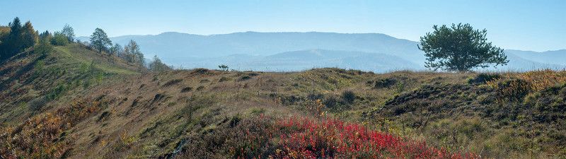 Палитра осениphoto preview