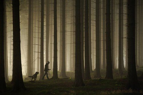 walking without guard