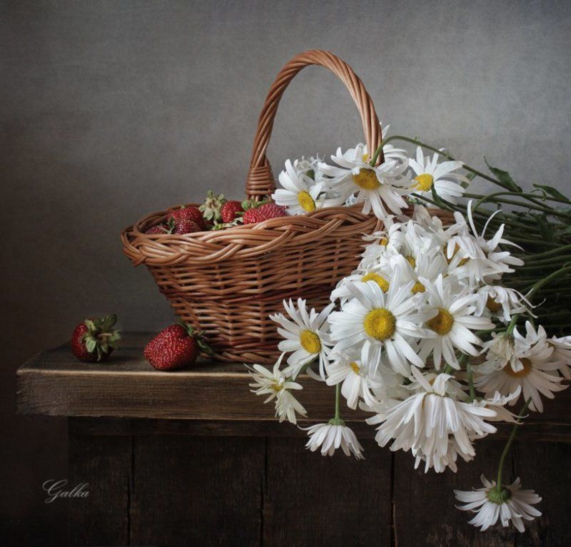 Ягодкиphoto preview