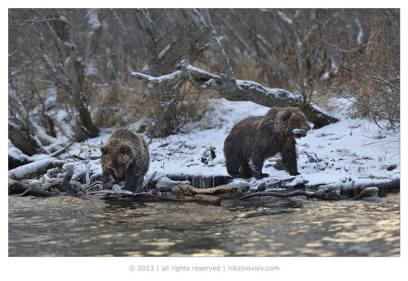 А детям - мороженое !photo preview