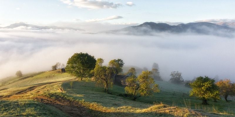 карпаты, пейзаж, природа, туман, черная тиса, рассвет, утро Рассвет на седьмом небеphoto preview