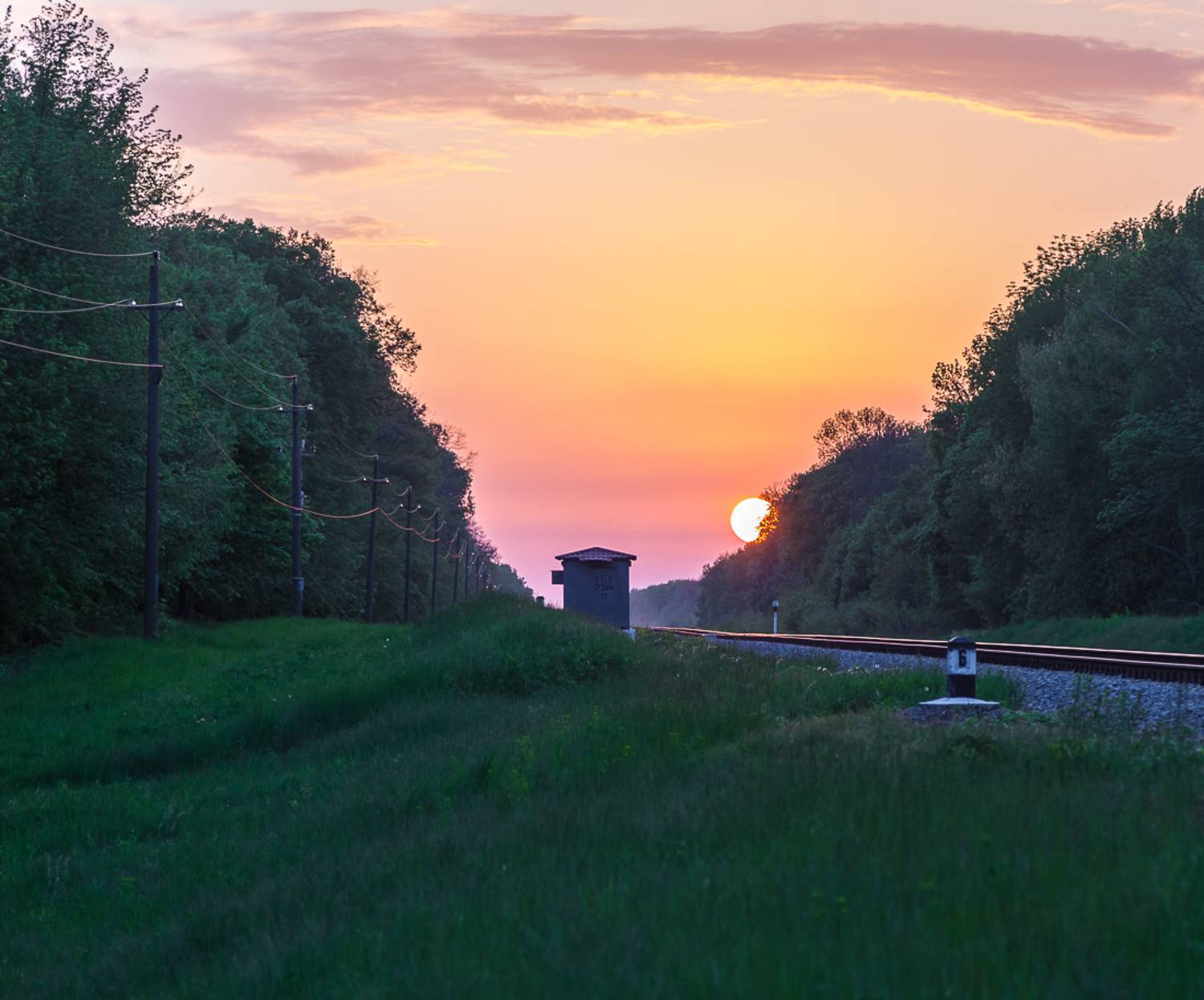 , Александр Подрез