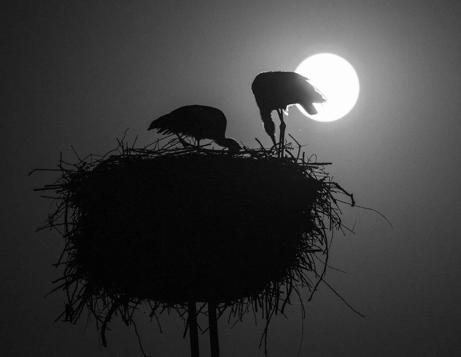 Автор: Юрий Юрьев , Юрий Юрьев