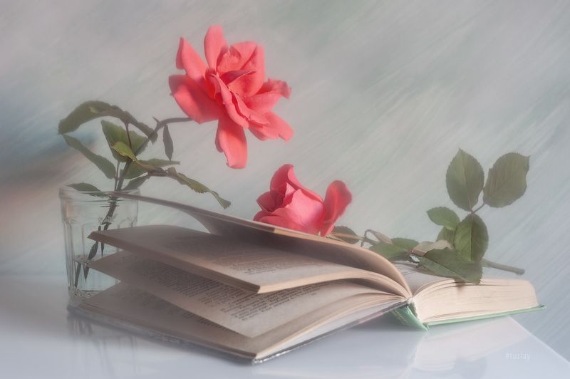 розы, книги, книга Книжно-розочная тема продолжается!photo preview
