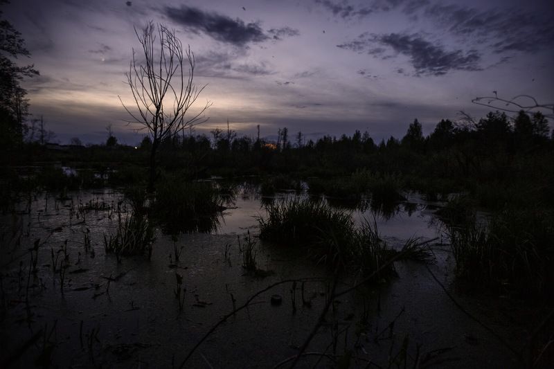 река  Чернавка близ Селецphoto preview