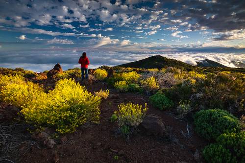 Morning in the Mountains