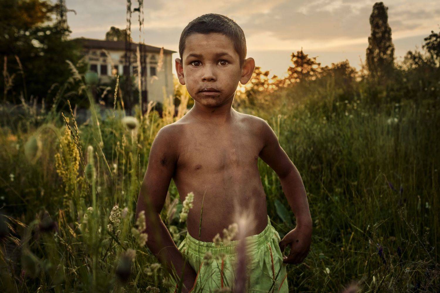 Life without a home. Автор: Vladimir Karamazov , Vladimir Karamazov