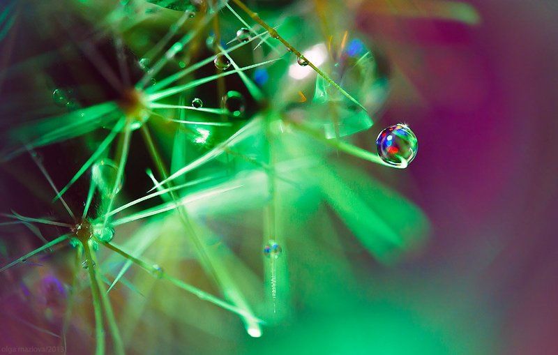 капля ...photo preview