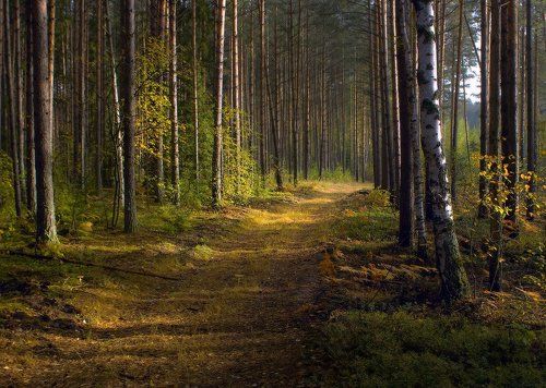 Утром