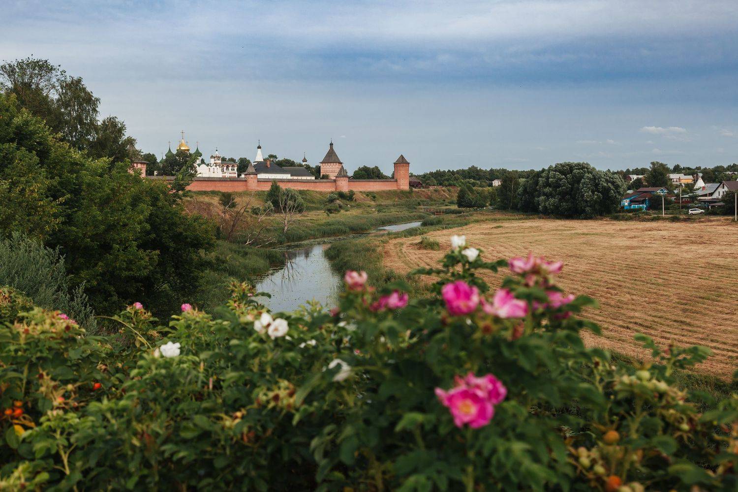 Суздальские мотивы. Автор: Элина Хван Суздаль, Элина Хван