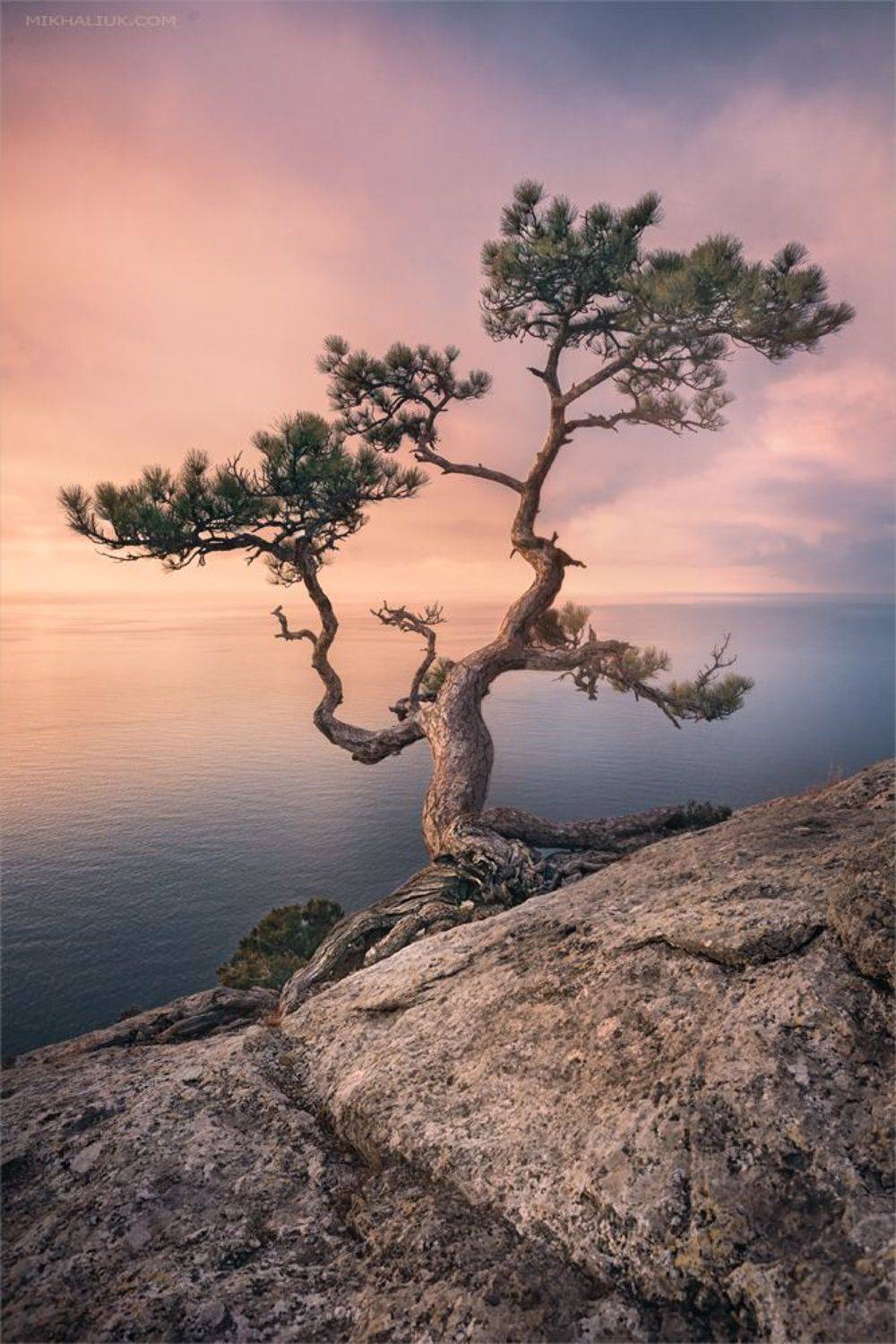 , Михалюк Сергей *