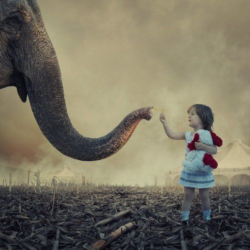 The shy friend request