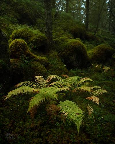 Signs of Autumn