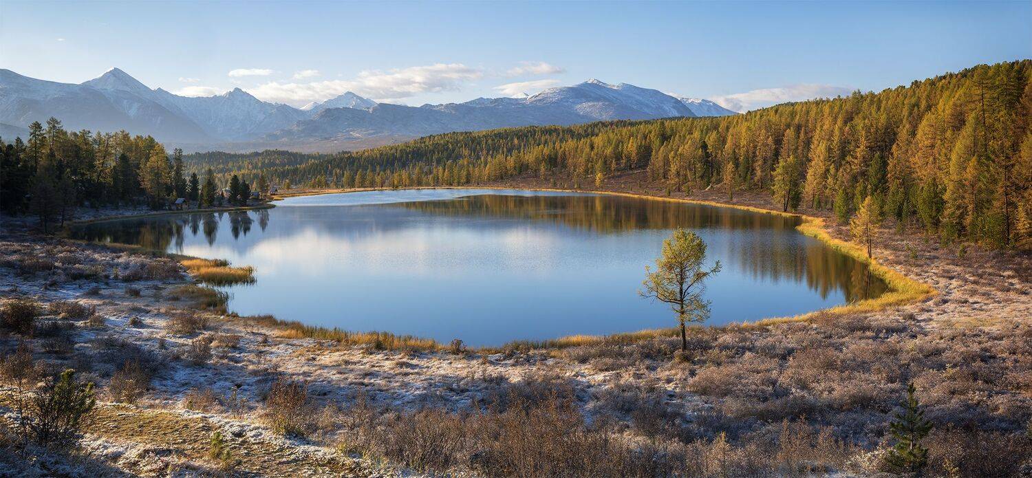 , Лещёнок Александр