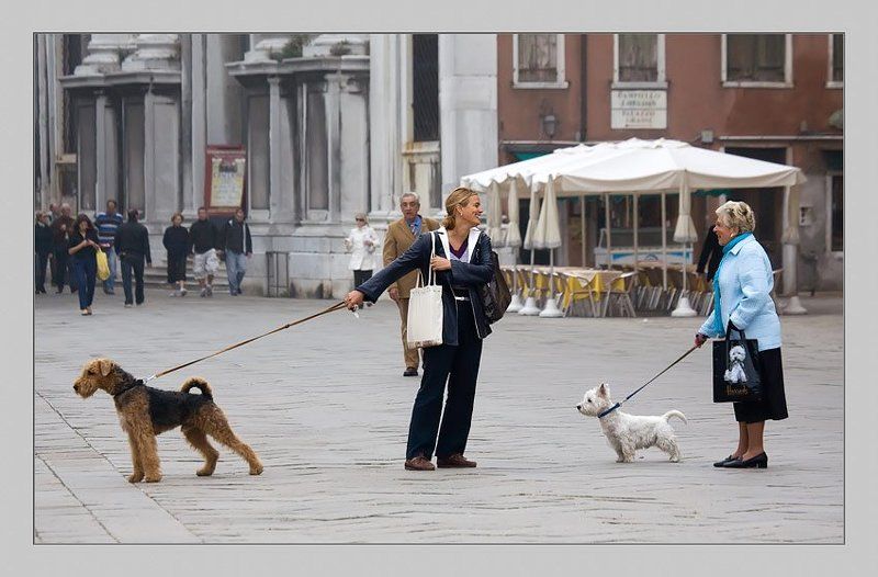 венеция Разные интересыphoto preview