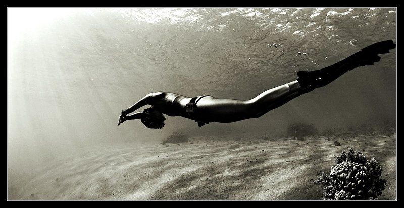 сквозь времяphoto preview