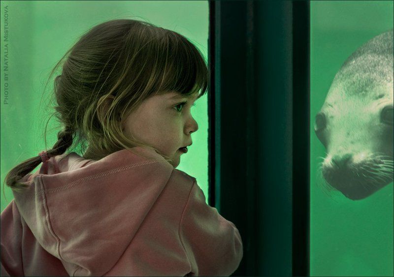 дети, девочка, подводное, вода, морской дружить пришелphoto preview