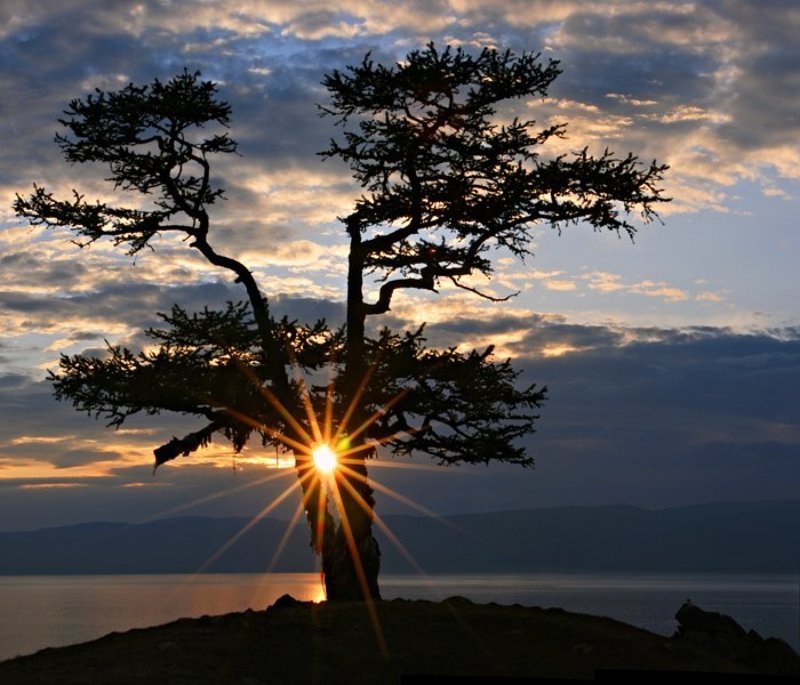 Харлей дэвидсонphoto preview