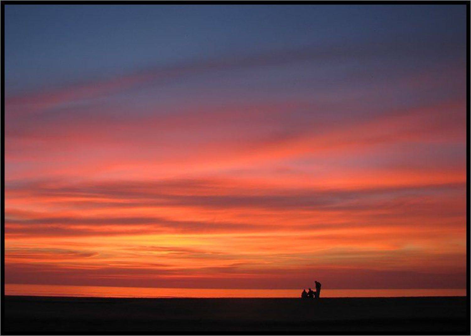 , Лунный Ежик