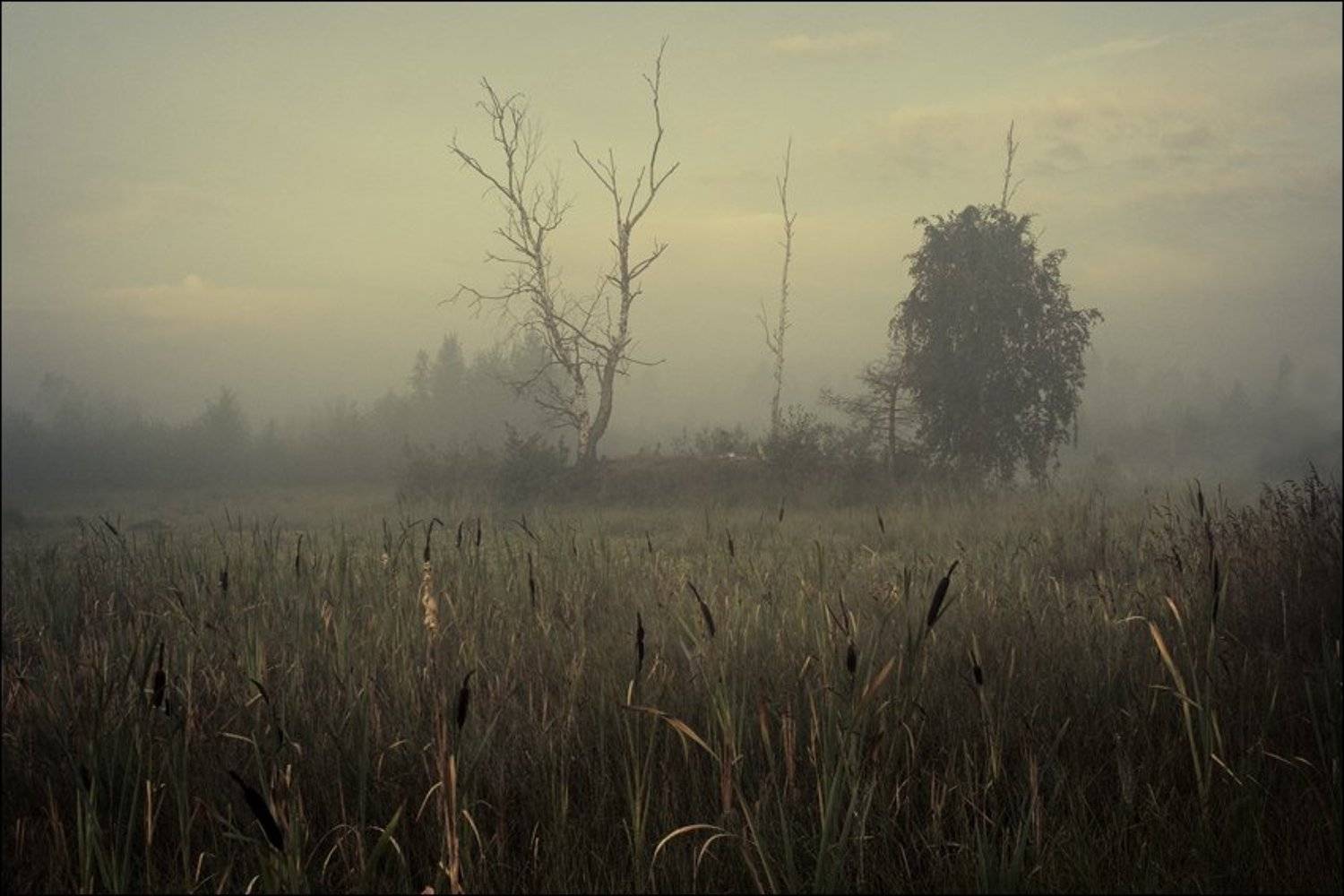 , Сергей Чубаров