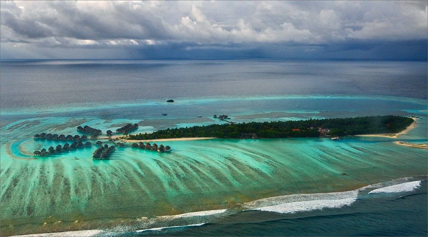 Мальдивы, пальма, Нетушки