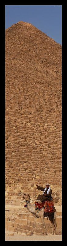 египет,пирамида,верблюд Про пирамиду, которая никак не лезла в кадр, но сфотать ее в полный рост очень хотелось... :)photo preview
