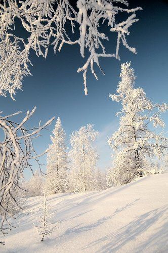 Зимняя сказка