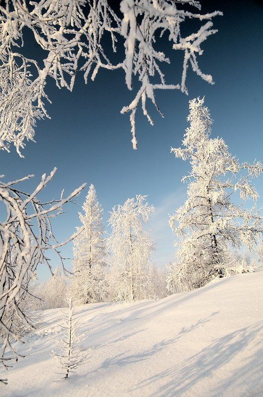 север, зима, hdr, Зимняя сказкаphoto preview