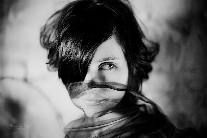 L\'arbre...photo preview