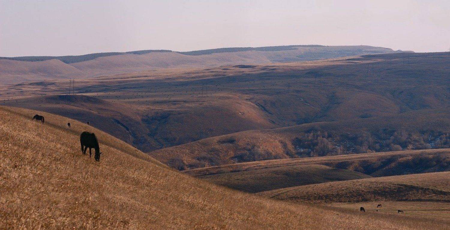 кисловодск, джинальский хребет, большое седло, дикие кони, Kaiser Sozo